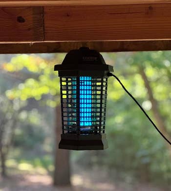 Hanging bug zapper