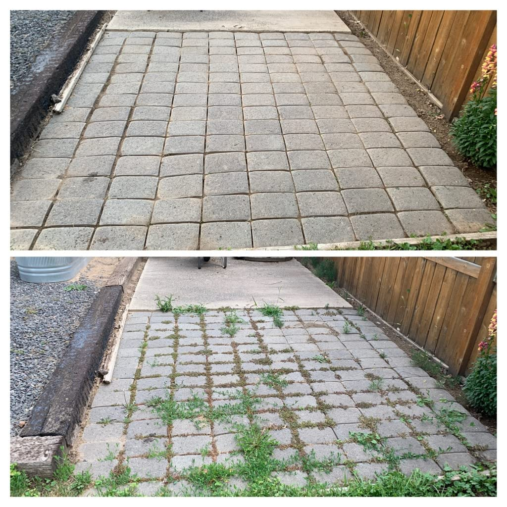  apical  is neat and clean, bottommost  is overgrown with writer  betwixt  the paving stones