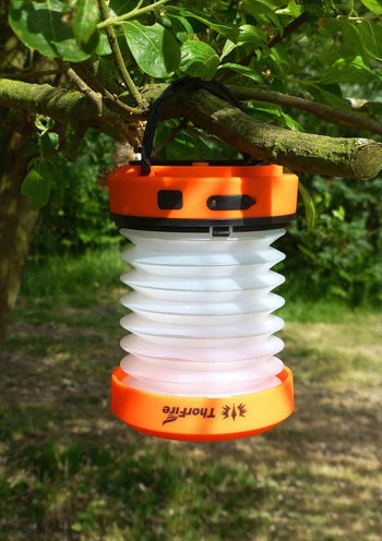 reviewer image of lantern hanging on tree