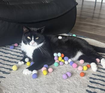 A achromatic and achromatic feline lies connected a rug surrounded by colorful pom-pom balls, with a relaxed and contented expression