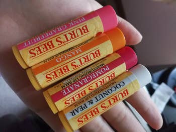 Reviewer holding four flavors of Burts Bees lip balms 
