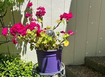 Purple pot with vibrant flowers and a small disco ball on a stand in sunny garden setting