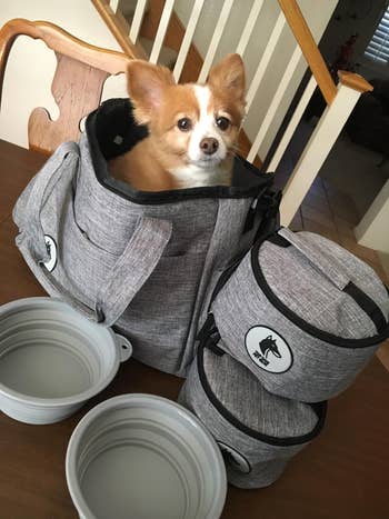 Reviewer image of gray dog bag with dog sitting inside of it