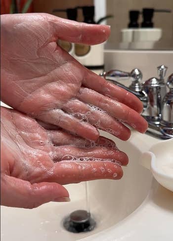 reviewer with soapy hands