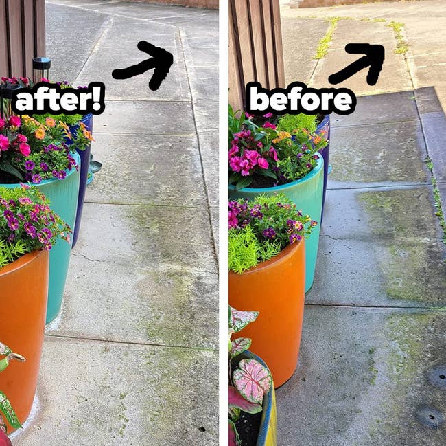 Before and after view of a reviewer's sidewalk, one side with weeds in the cracks and other side clean after using the crack weeder
