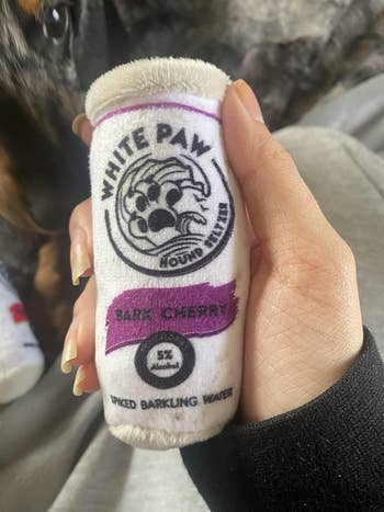 Person holding plush artifact  resembling a White Claw can