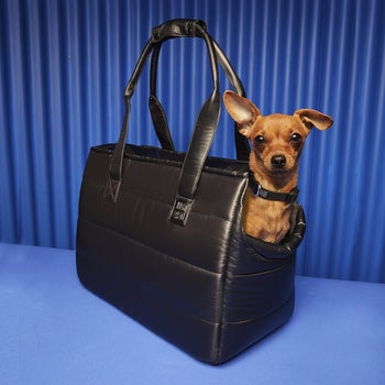 the black tote bag with quilted design and a small dog with its head out the pocket
