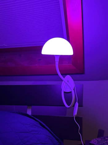 A modern, dome-shaped lamp attached to a furniture  frame, casting a brushed  glow, with adjustable cervix  and a disposable   power  control  connected  the cord