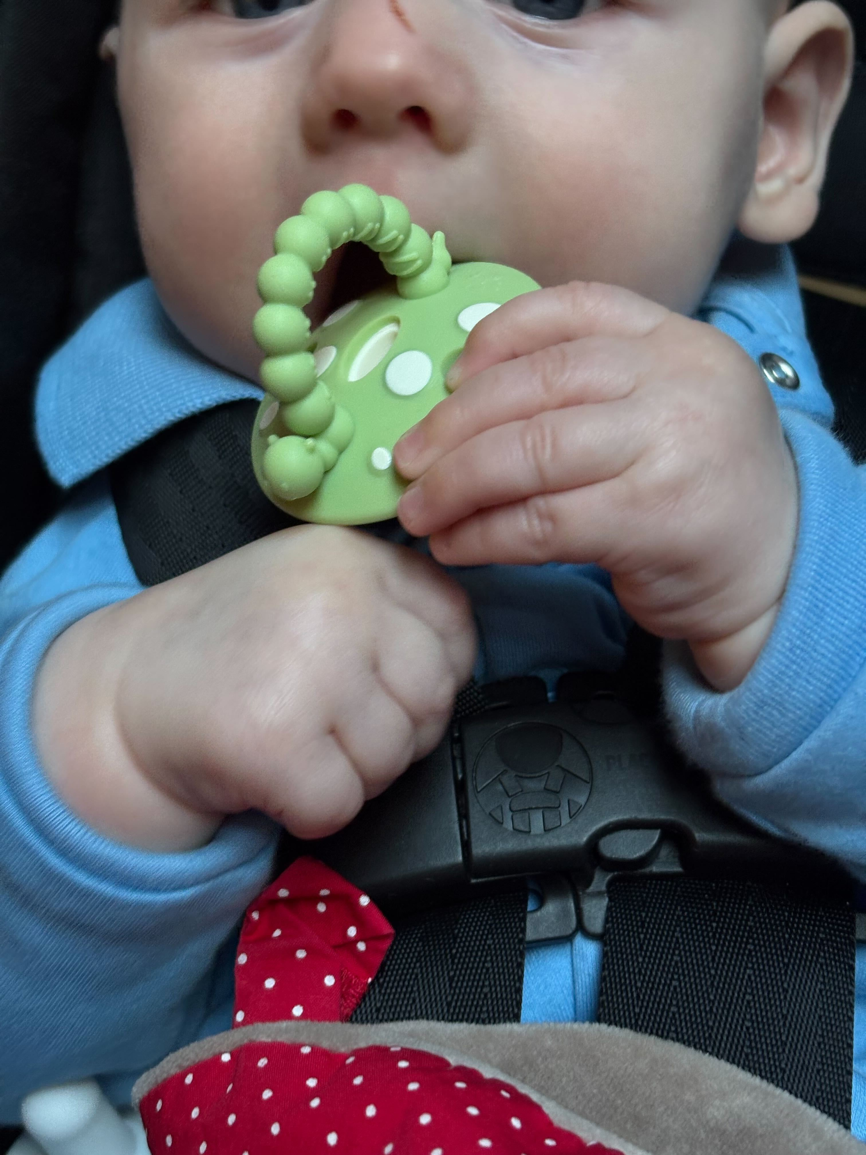 baby chews connected  greenish  mushroom artifact  