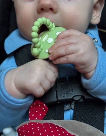 baby chews connected greenish mushroom artifact