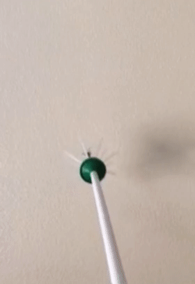 gif of reviewer using the green critter catcher to trap a bug on a wall