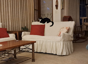 reviewer photo of their loveseat covered in an ivory slipcover and skirt with their cat sleeping on it