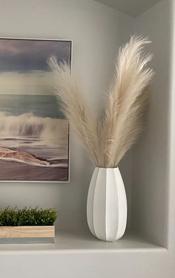 a close up of a reviewer's pampas in a white vase on a counter