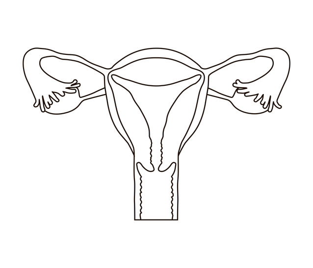 Figure 3-12. The human female reproductive (genital) system (A. anterior  view; B. midsagittal section). - Anatomy for X-Ray Specialists
