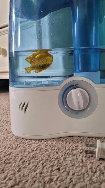 Humidifier connected a carpeted floor, filled with water, featuring a yellowish cleaning food accessory inside. Power cord is unplugged