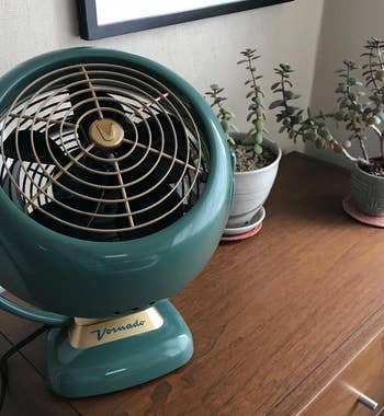 reviewer photo of the green and gold fan on a dresser