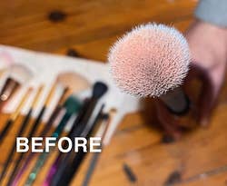 reviewer's dirty brush before