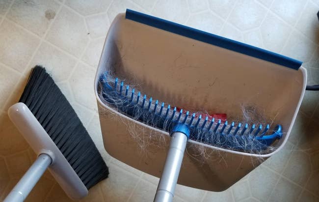 closeup of the broom and dustpan with teeth that have caught the pet fur from sweeping
