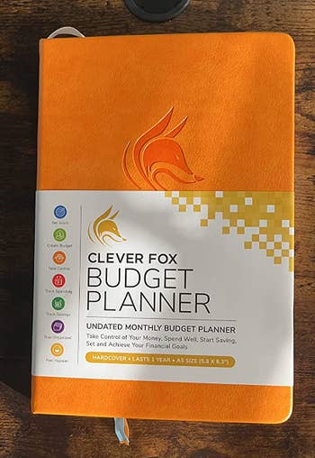reviewer's orange budget planner