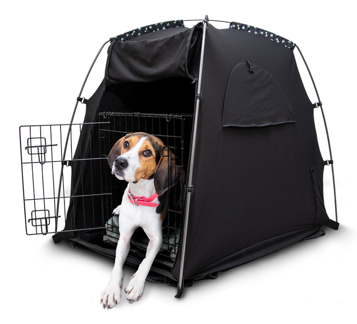Beagle in a crate with the SlumberPod over it