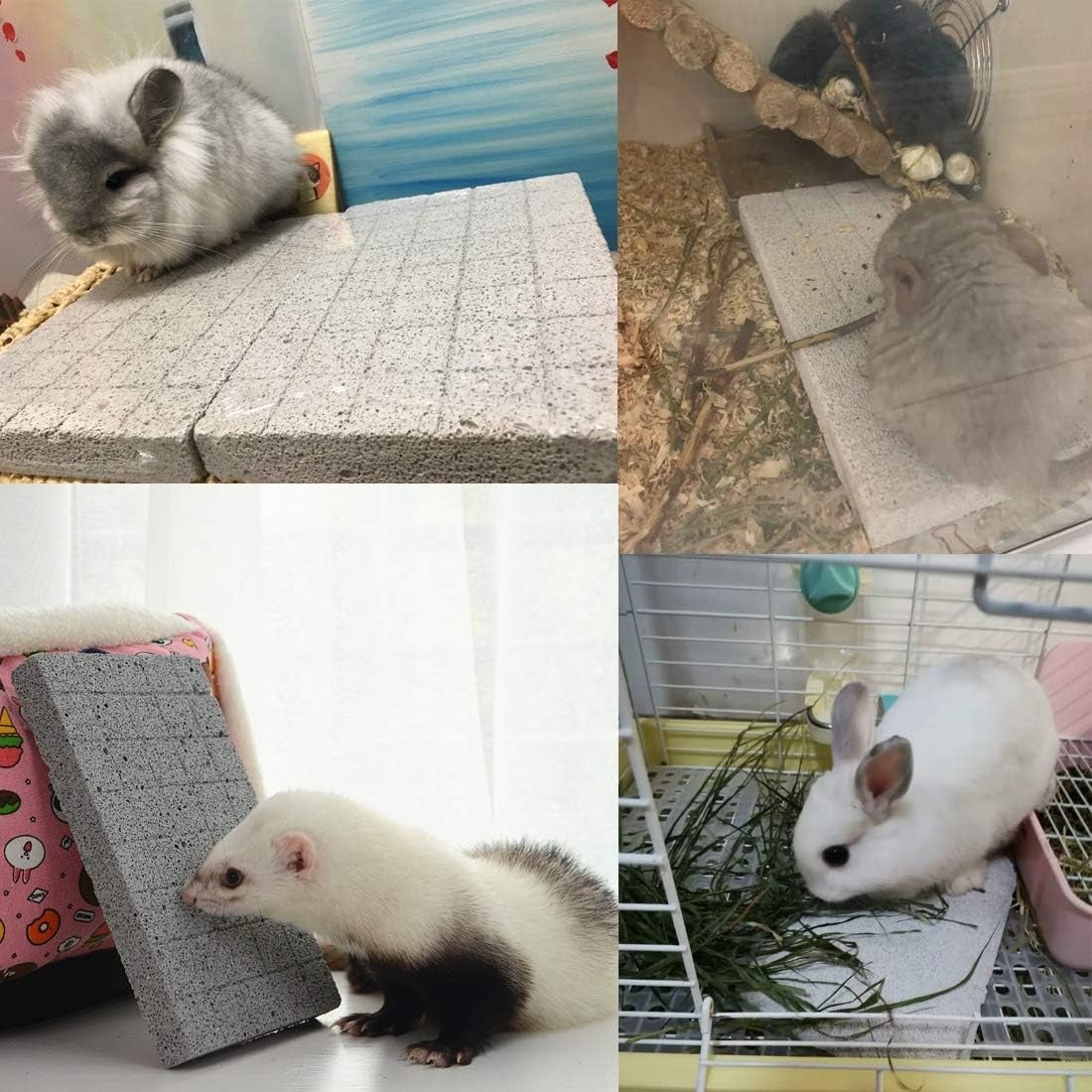 A rabbit, ferret, and chinchilla sitting on grinding stone
