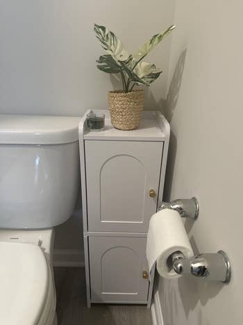 Small bath setup with a achromatic cabinet, potted works connected top, and toilet insubstantial holder connected the wall. Ideal for compact spaces