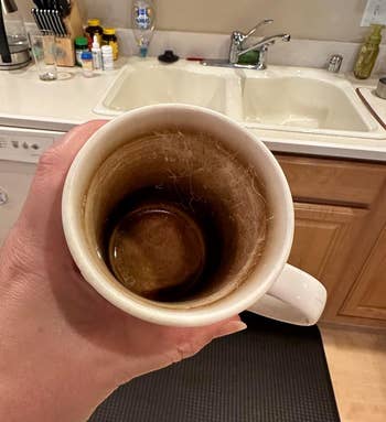 Hand holding a stained coffee mug in a kitchen