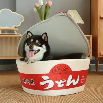 Dog in red noodle bowl pet bed