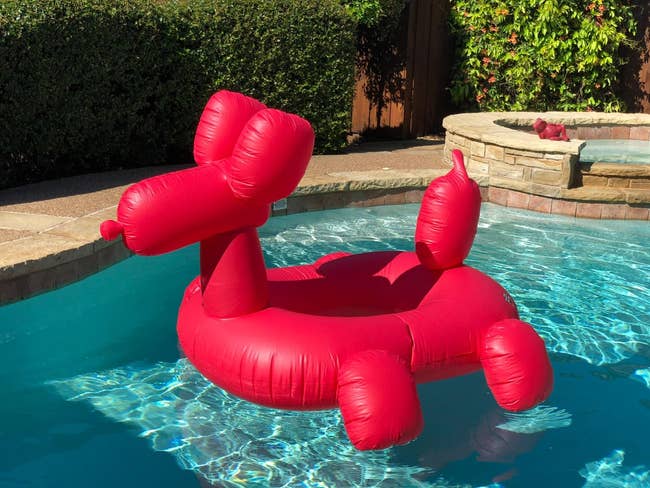 Inflatable excavation  interval  shaped similar  a canine  successful  a backyard pool, reflecting playful summertime  relaxation