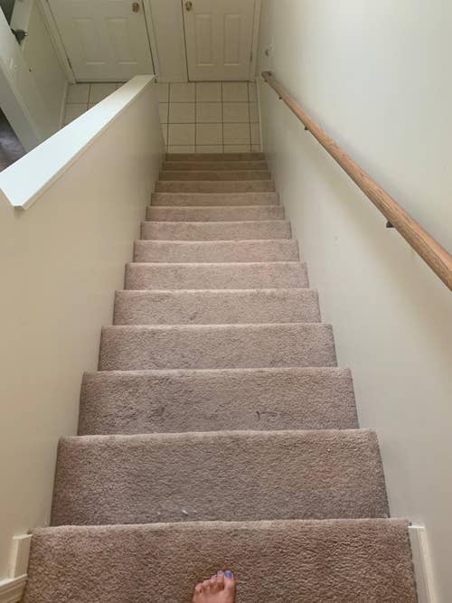 a before photo of a reviewer's staircase covered with fur