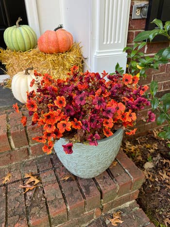 Decorative autumn statement with vibrant potted flowers, pumpkins connected hay, and ceramic steps, suitable for seasonal location decor