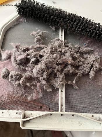 a reviewer's pile of dust from their dryer