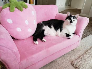 Black and white cat lounging on a small pink strawberry-themed sofa