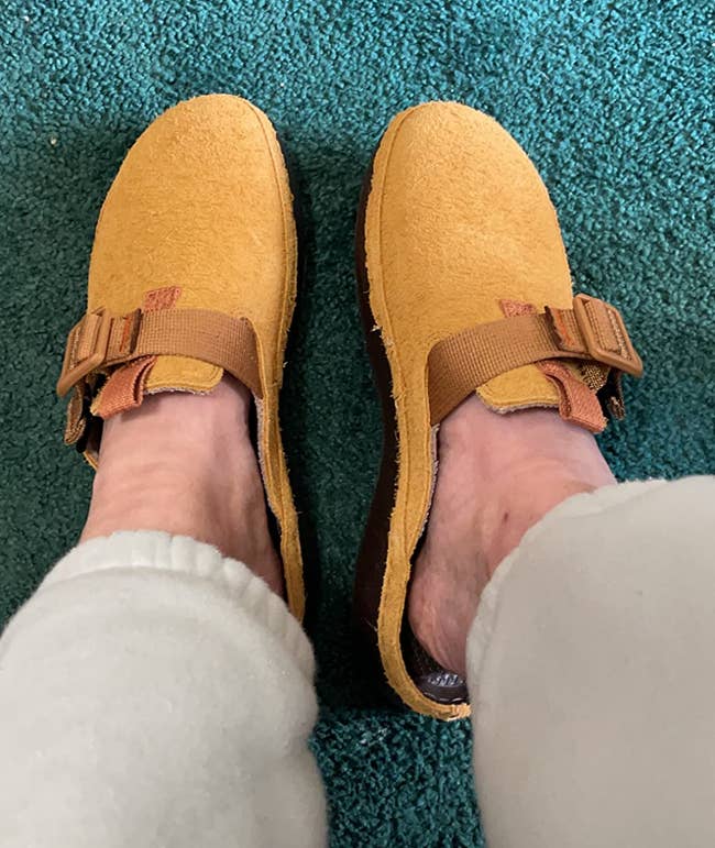 reviewer representation of tan clogs connected their feet with adjustable buckle crossed the apical of the shoe