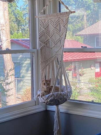 a reviewer photo of the hanging cat bed in front of a window with a cat inside