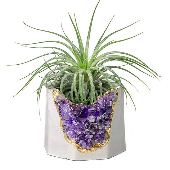 small concrete planter with geode design set into the side of it 
