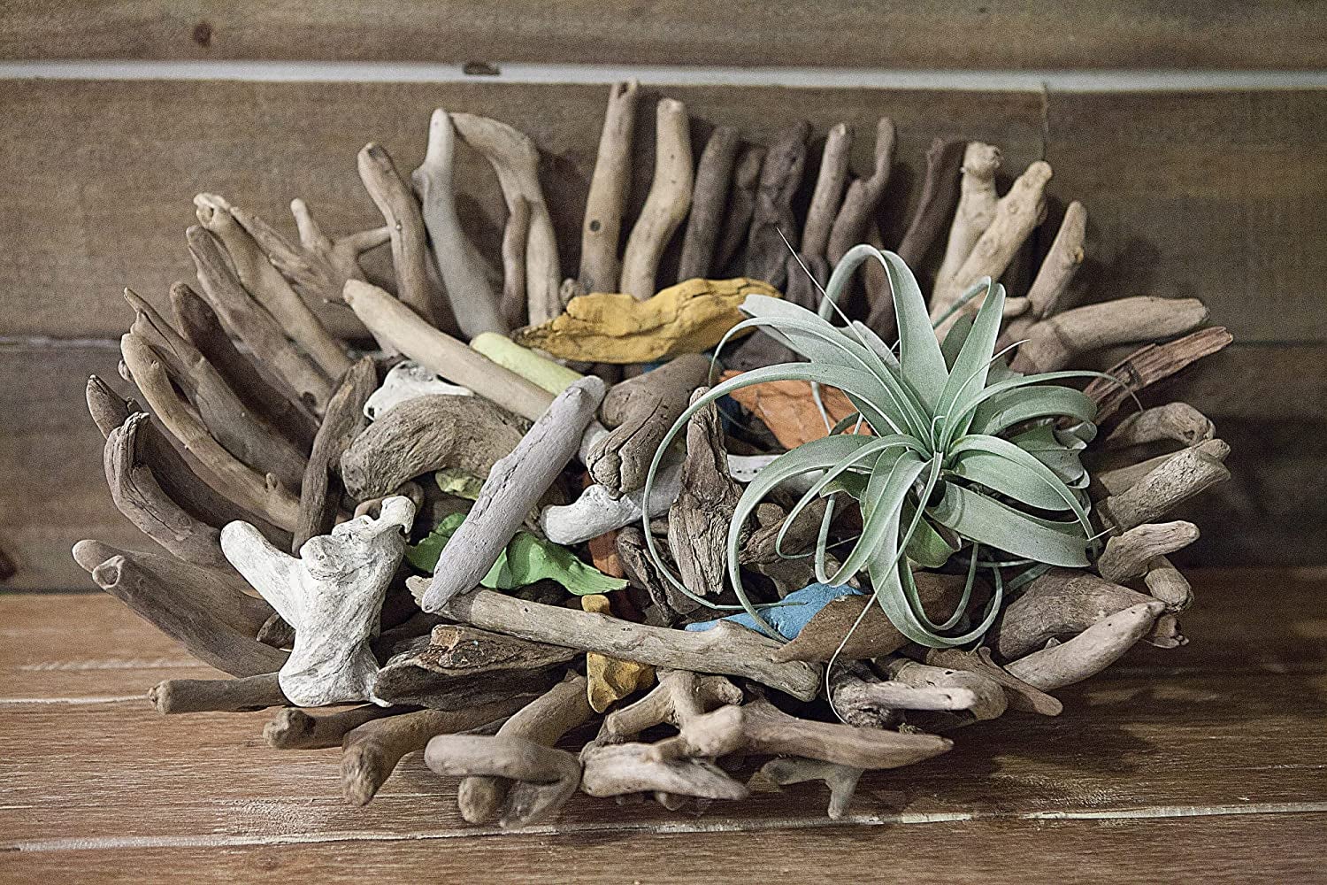 small pieces of driftwood placed together into a tray