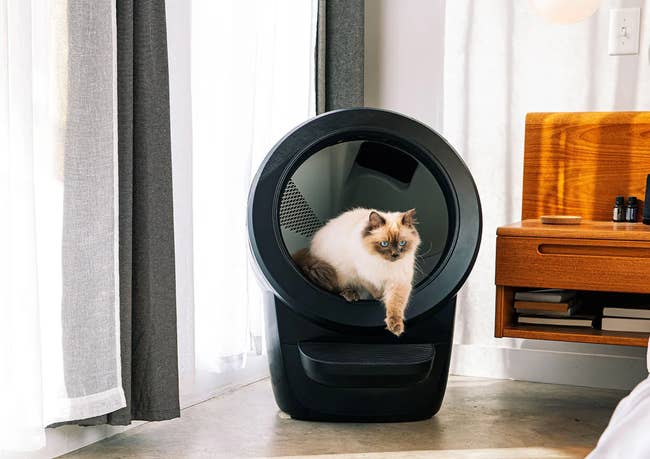 cat crawling out of litter robot