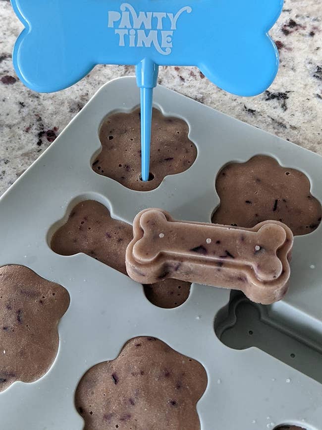 Bone-shaped and paw-shaped frozen dog treats in a silicone mold