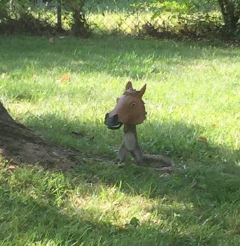 reviewer photo of a squirrel standing up and eating out of the horse head feeder