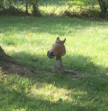 a squirrel standing up and eating out of the reviewer's horse head feeder