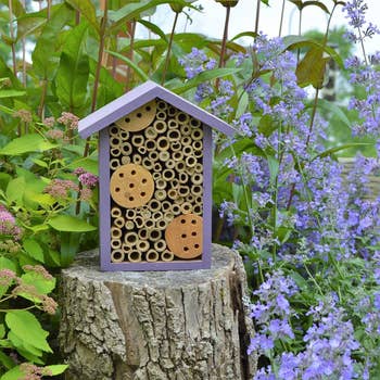 Wooden insect hotel on a stump surrounded by flowering plants, suitable for garden pollinator support