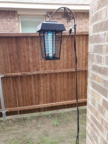Electric bug zapper hanging on a metal stand in a residential backyard