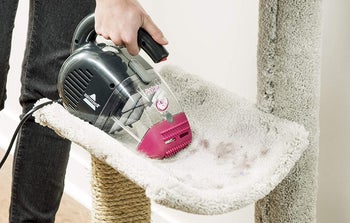 model using the vacuum on a cat tree