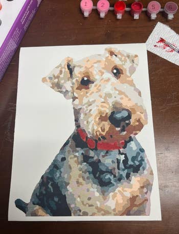 Paint-by-numbers canvas depicting a dog with a red collar