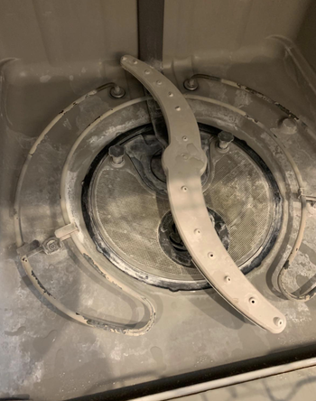 reviewer photo of dishwasher interior looking dirty