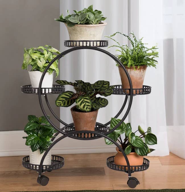 circular multi-tiered plant stand with small potted plants on it