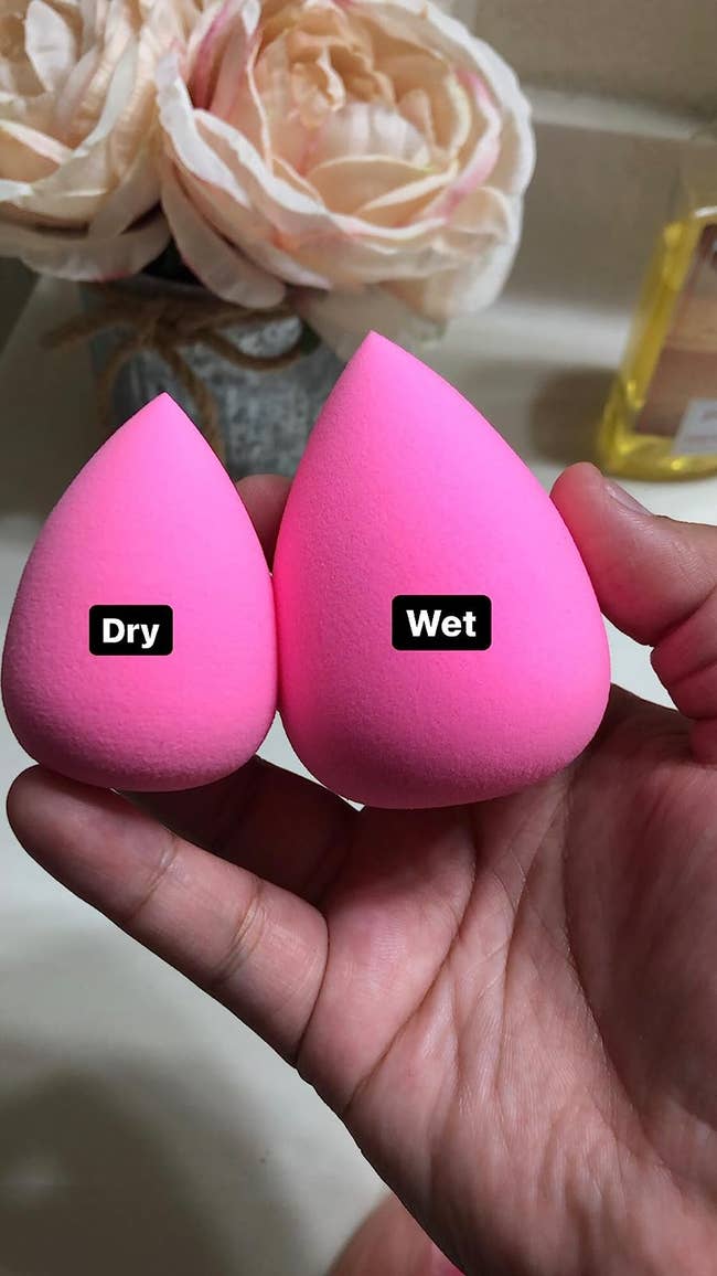 a reviewer showing two makeup blender sponges one is wet and one isd ry