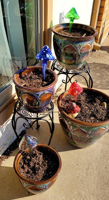 reviewer's four outdoor plants with the mushroom watering globes inserted into the soil