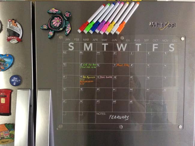 a reviewer's magnetic calendar connected a refrigerator with color-coded markers, displaying planned activities and notes for February, adorned with magnets